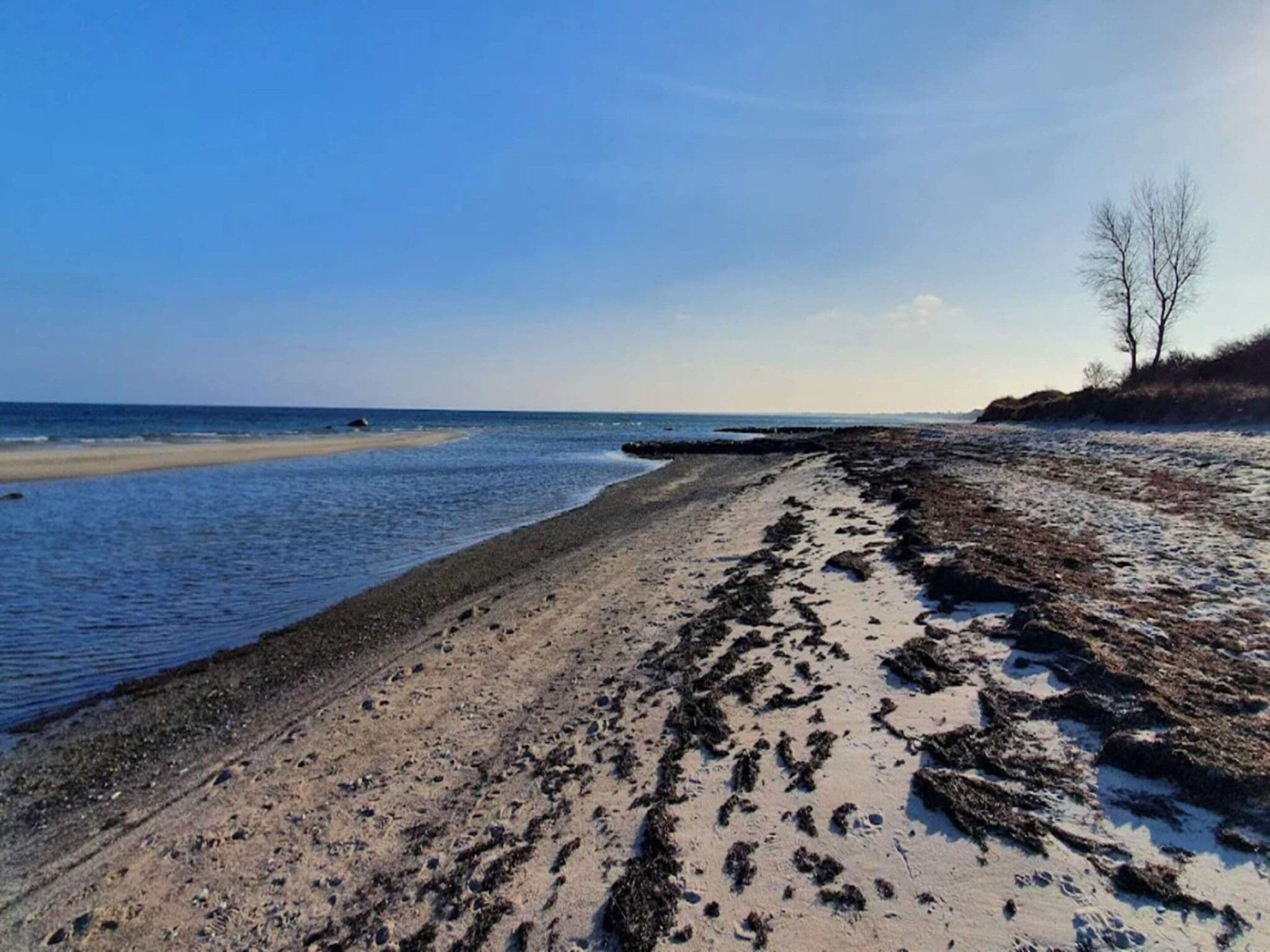 Ein Strand mit klarem Himmel, sandigem Ufer und einem felsigen Vorsprung mit vereinzelter Vegetation.