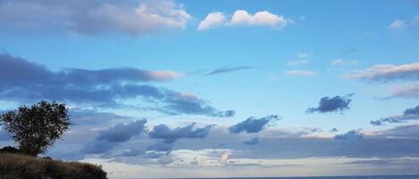 A beach with a clear sky, a lone tree, and a rocky shoreline.
