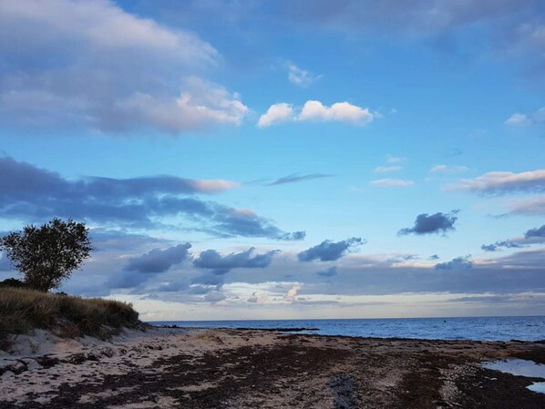 A beach with a clear sky, a lone tree, and a rocky shoreline.