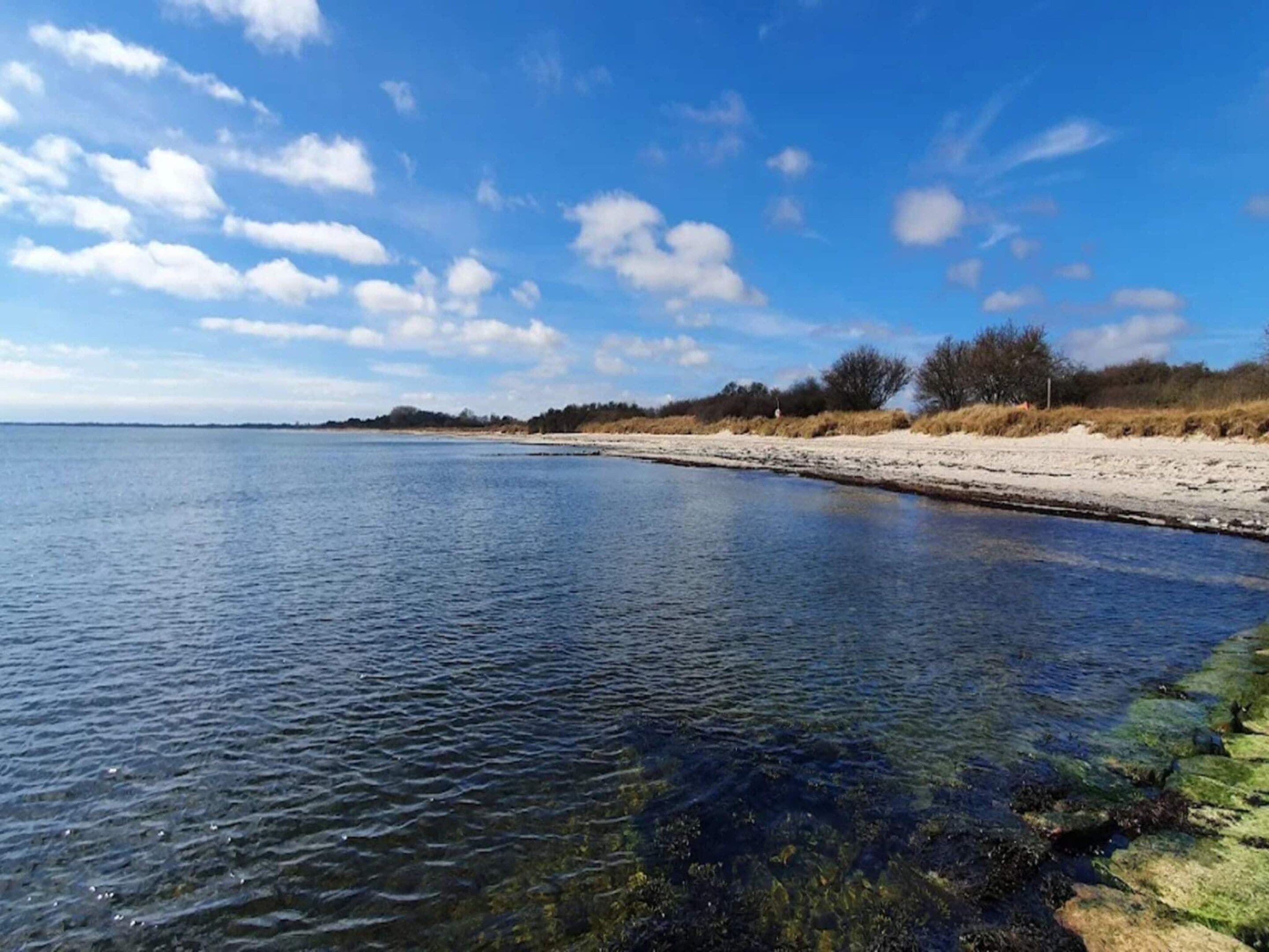 Acqua calma e trasparente, una spiaggia sabbiosa e vegetazione rada sotto un cielo azzurro con nuvole.
