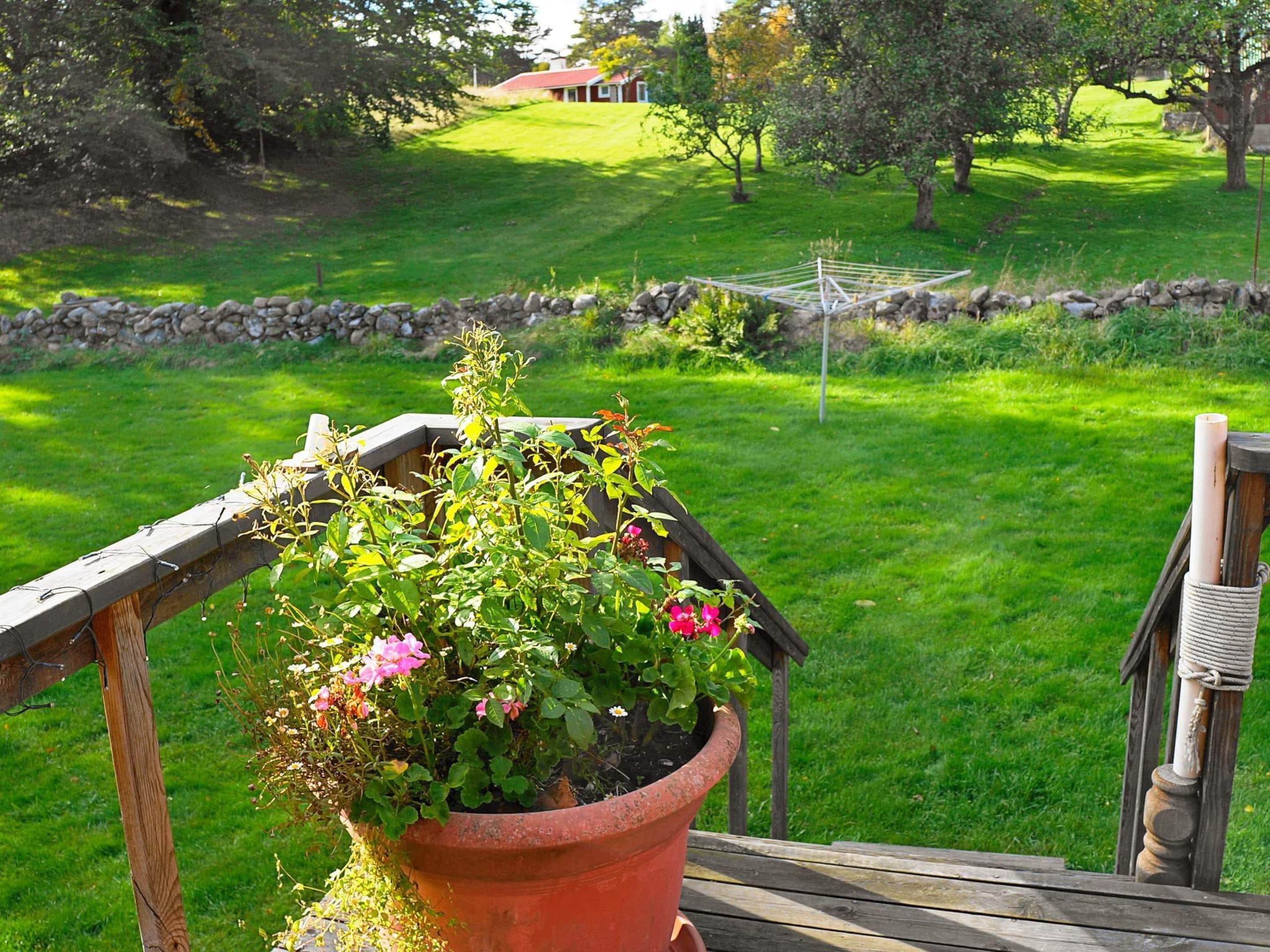 A wooden deck with a potted plant and a hammock.