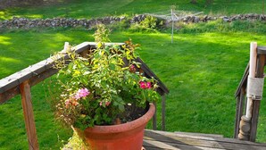A wooden deck with a potted plant and a hammock. - 6 Person Holiday Home in Askeron (Hjaelteby)