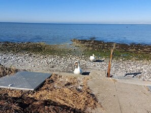 A pebbled beach with swans, a metal bench, and a wooden post.