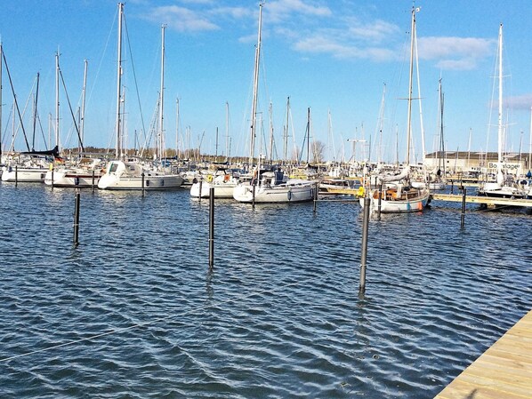 하우스 | 마리나