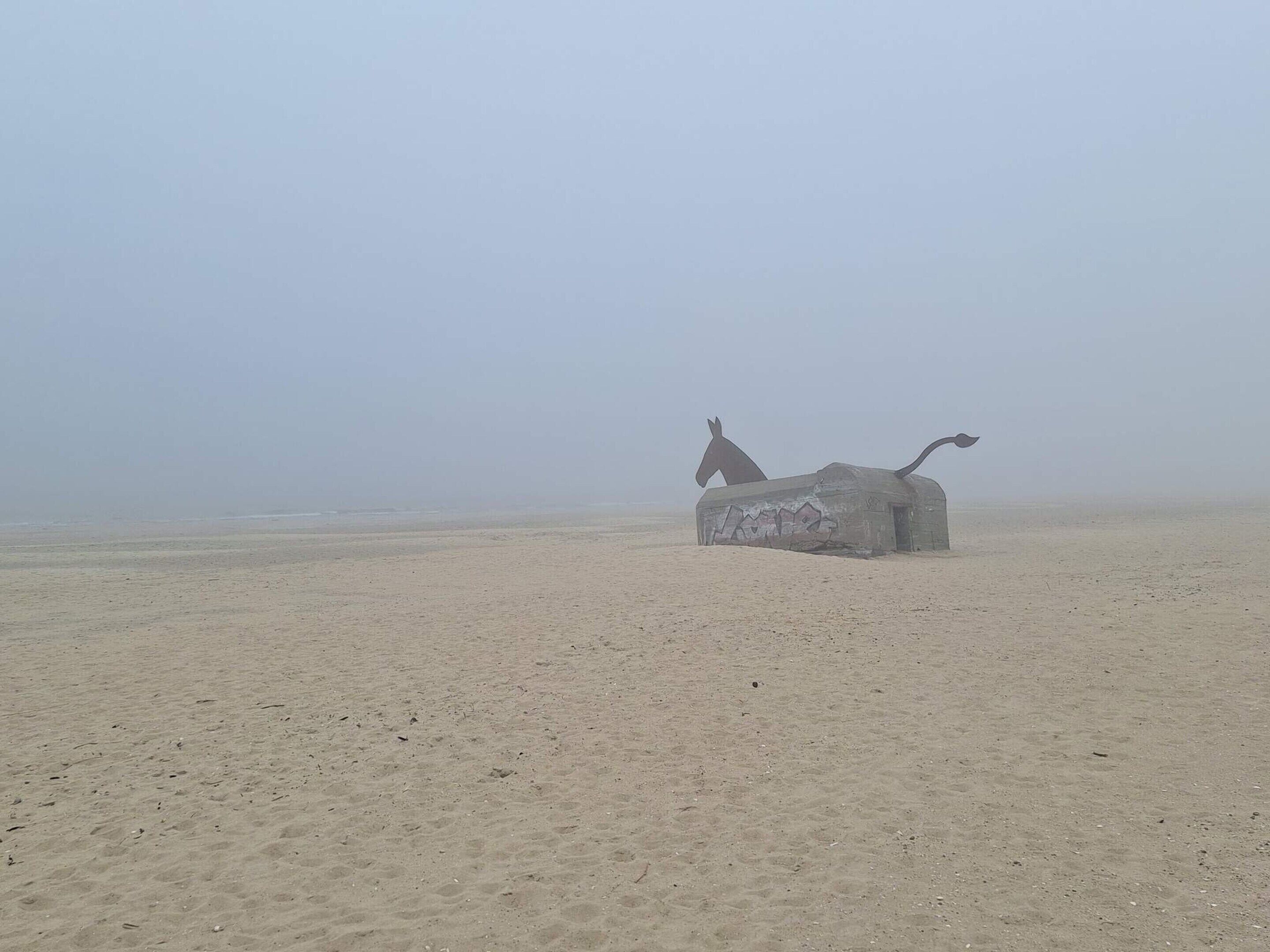 A beach with a large, weathered concrete structure featuring a horse head and tail.
