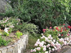 Ein Garten mit verschiedenen blühenden Pflanzen und einer Steinmauer.