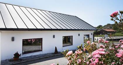 Holiday Home in Skærhamn