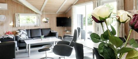 DVD player, MP3 dock