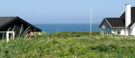 House | View from property