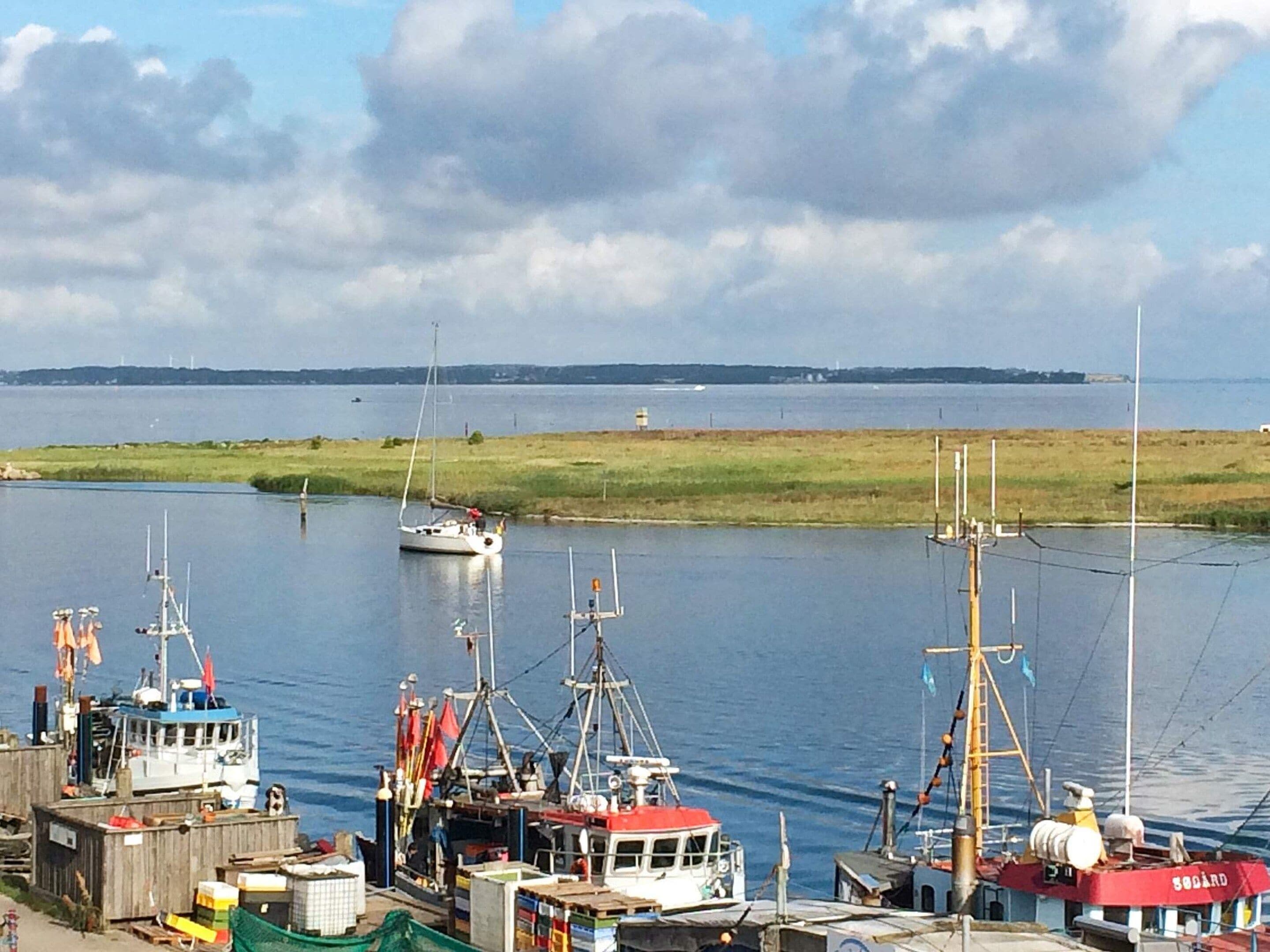 A harbor with various boats, including a sailboat and fishing vessels, docked alongside.