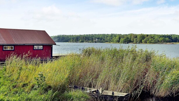 A red building by a lake with a forest in the background. - Holiday Home in Väddö (Väddö)