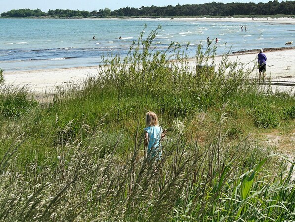 A beach with people swimming and walking, surrounded by tall grass and trees.