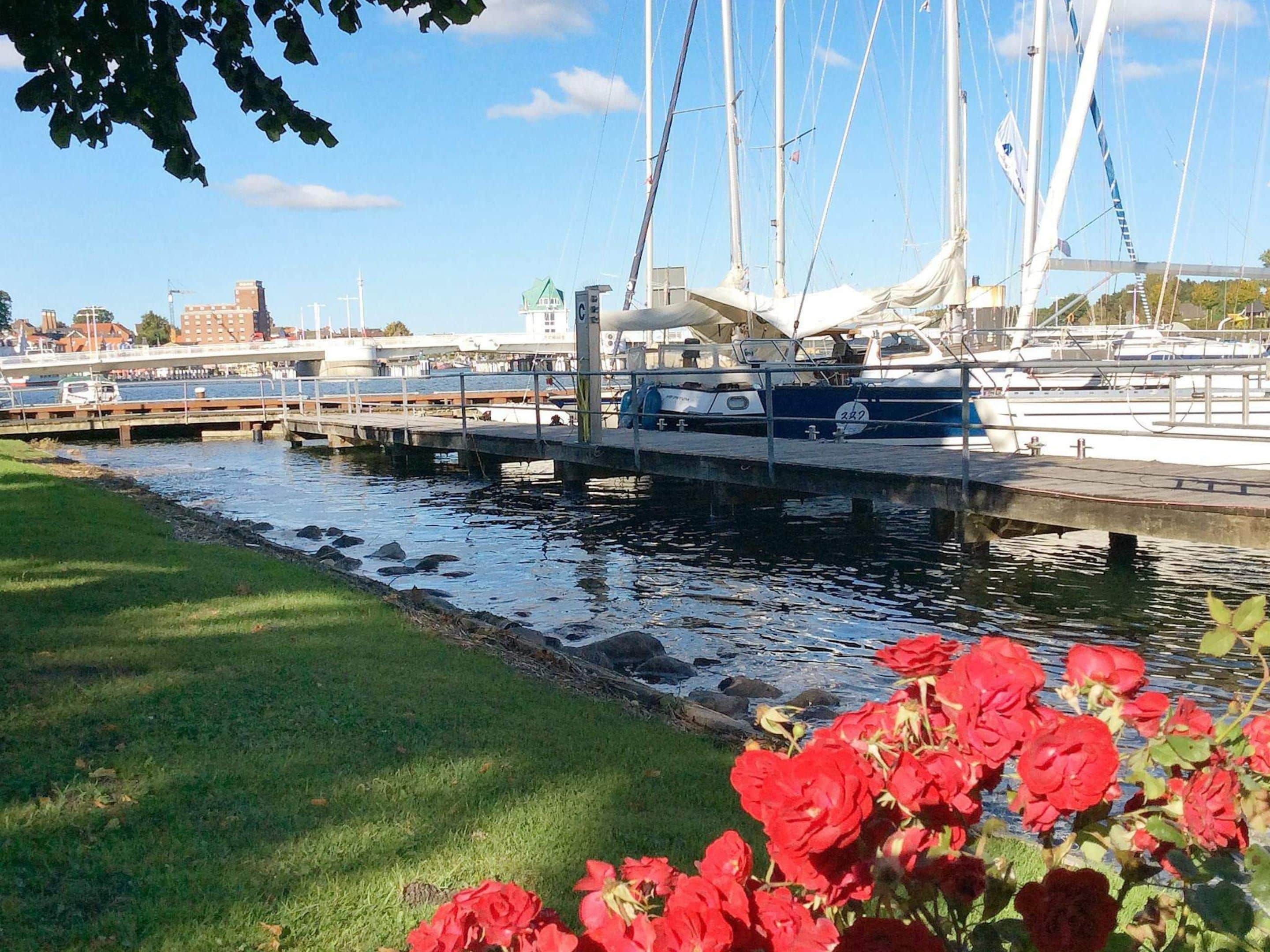 Un port de plaisance avec des bateaux amarrés, une zone herbeuse parsemée de fleurs rouges et un pont en arrière-plan.
