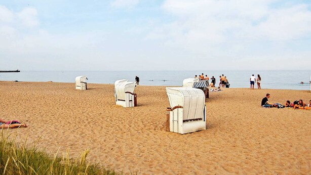 A beach with white wicker chairs and a sandy shore. - Holiday Home in Kappeln (Kappeln)