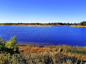 A calm lake with a clear blue sky, surrounded by a forested area and some dry grassland.