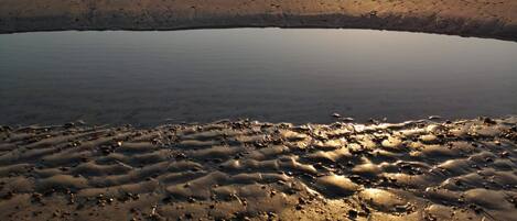 A beach scene with a calm sea, sandy shore, and a clear sky.