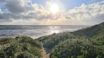 A coastal path with a view of the ocean and a clear sky.