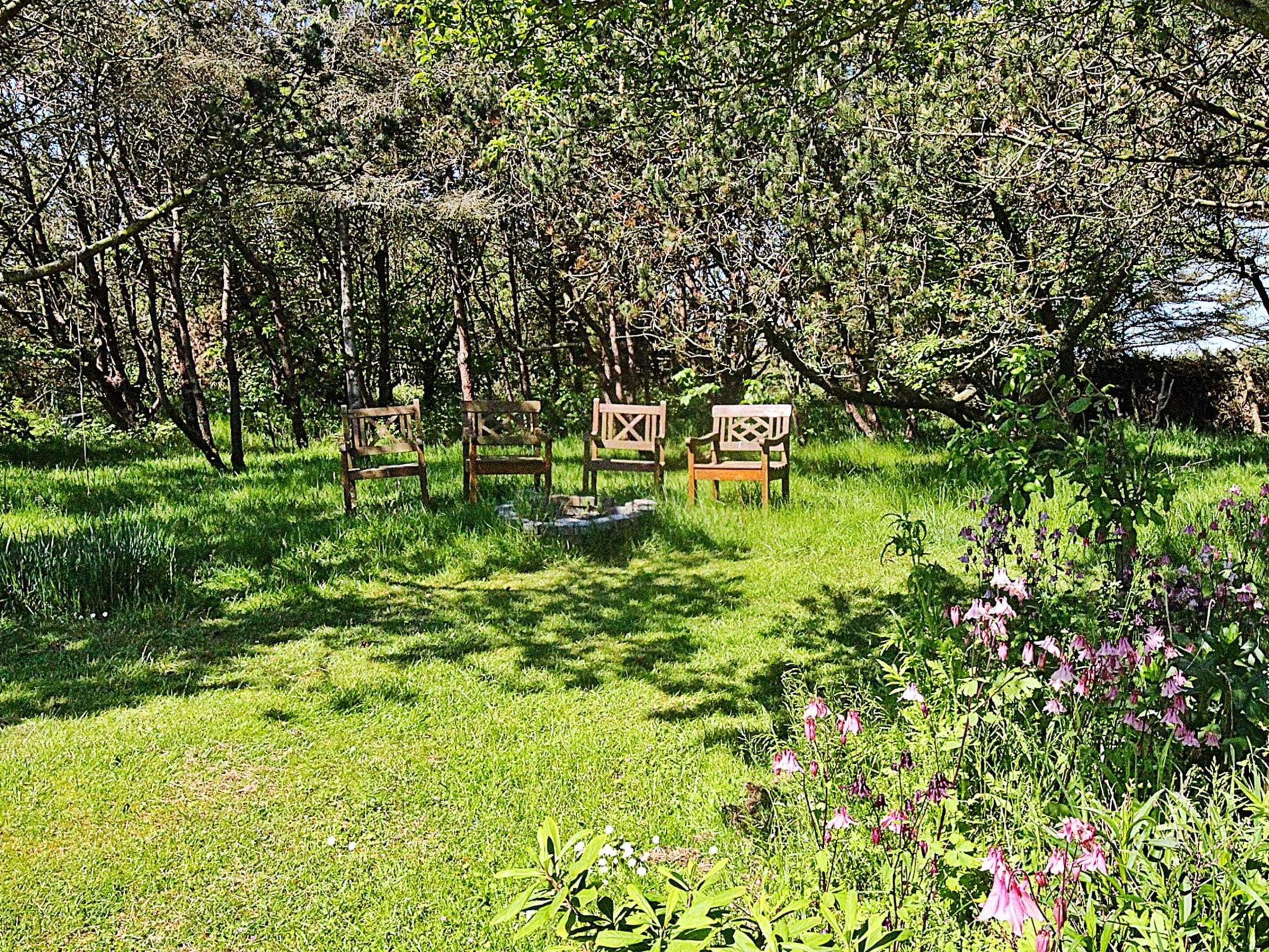 Um jardim com quatro bancos de madeira, diversas plantas e flores.