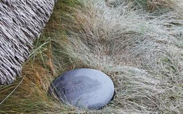 Unclassified image, 1 of 3, button