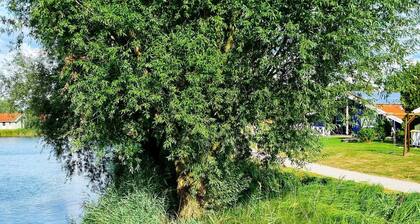 Holiday Home in Otterndorf