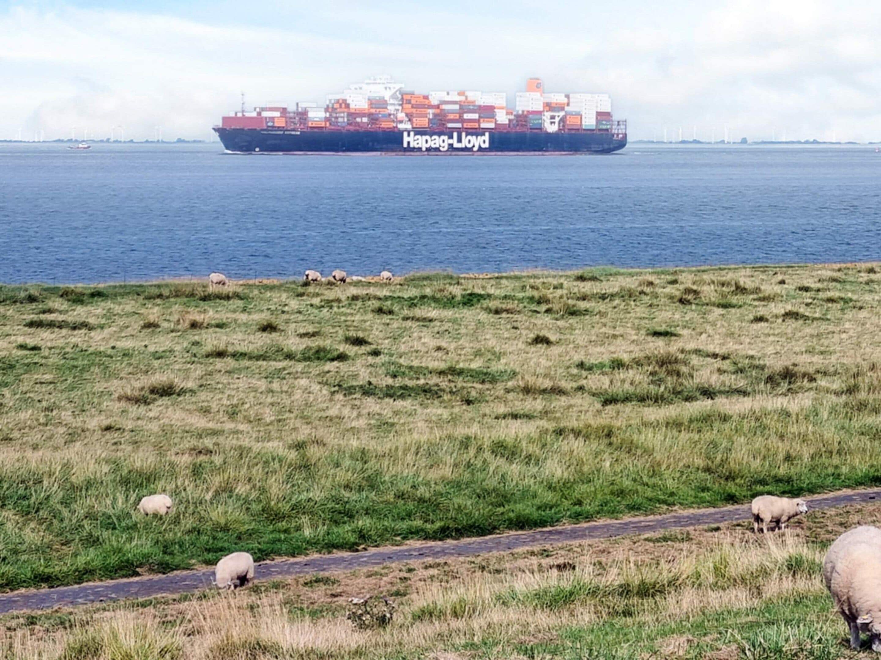 A cargo ship named 'Hapag-Lloyd' on the water with a grassy area and sheep in the foreground.