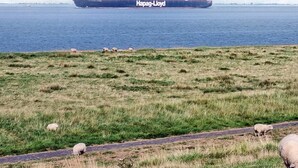 Um navio de carga chamado 'Hapag-Lloyd' em um corpo de água, com uma área gramada e uma estrada ao primeiro plano.