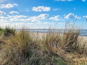 Una playa con pastos altos y un cielo despejado.