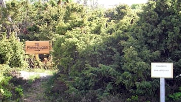 House | Property grounds