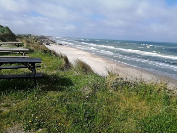 A coastal beach with picnic tables and grassy dunes.