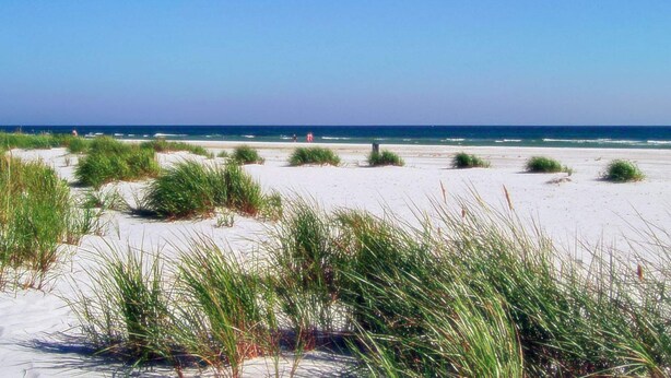 A beach with white sand and green vegetation. - Cozy Holiday Home in Nexo near Dueodde Beach (Nexø)