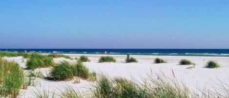 House | View from property