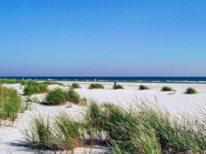 A beach with white sand and green vegetation.