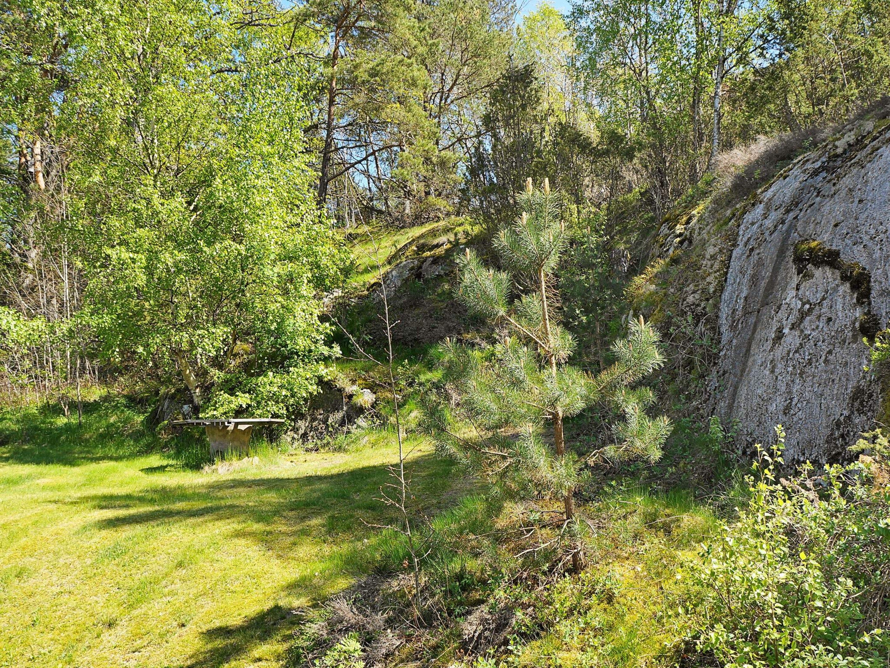 A natural landscape with a grassy area, trees, and a rocky cliff.