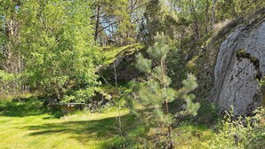 A natural landscape with a grassy area, trees, and a rocky cliff. - 4 Person Holiday Home in Henan (Henån)
