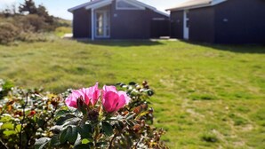 A house with a front yard and a pink flower in the foreground. - 8 Person Holiday Home in Lokken (Lokken)