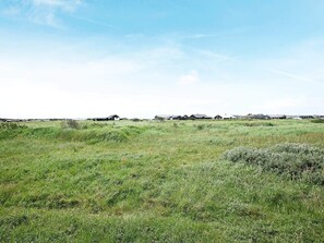 Casa | Vista desde la propiedad