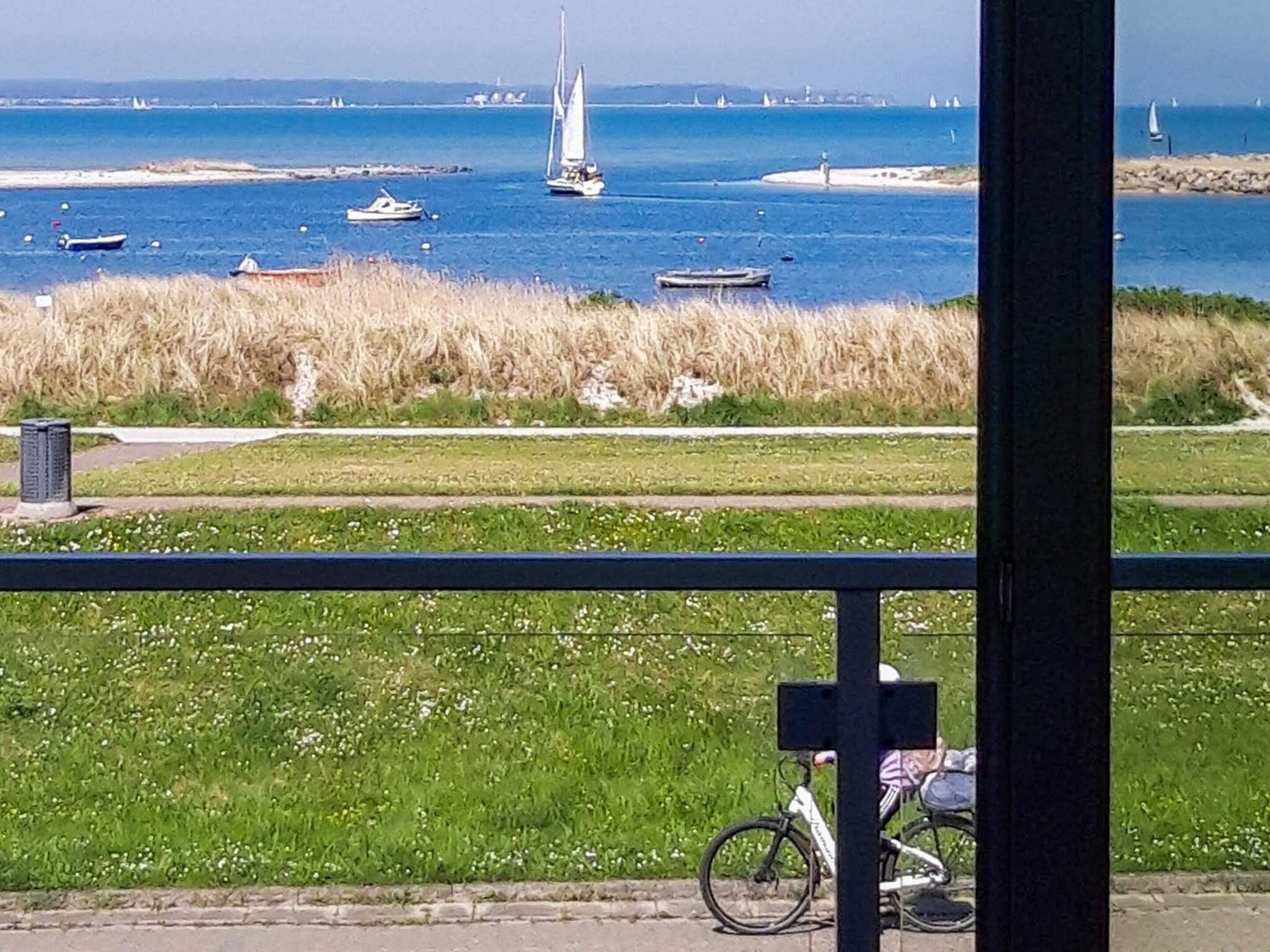 A coastal view with boats, grassy areas, and a bicycle.