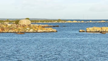 Khác