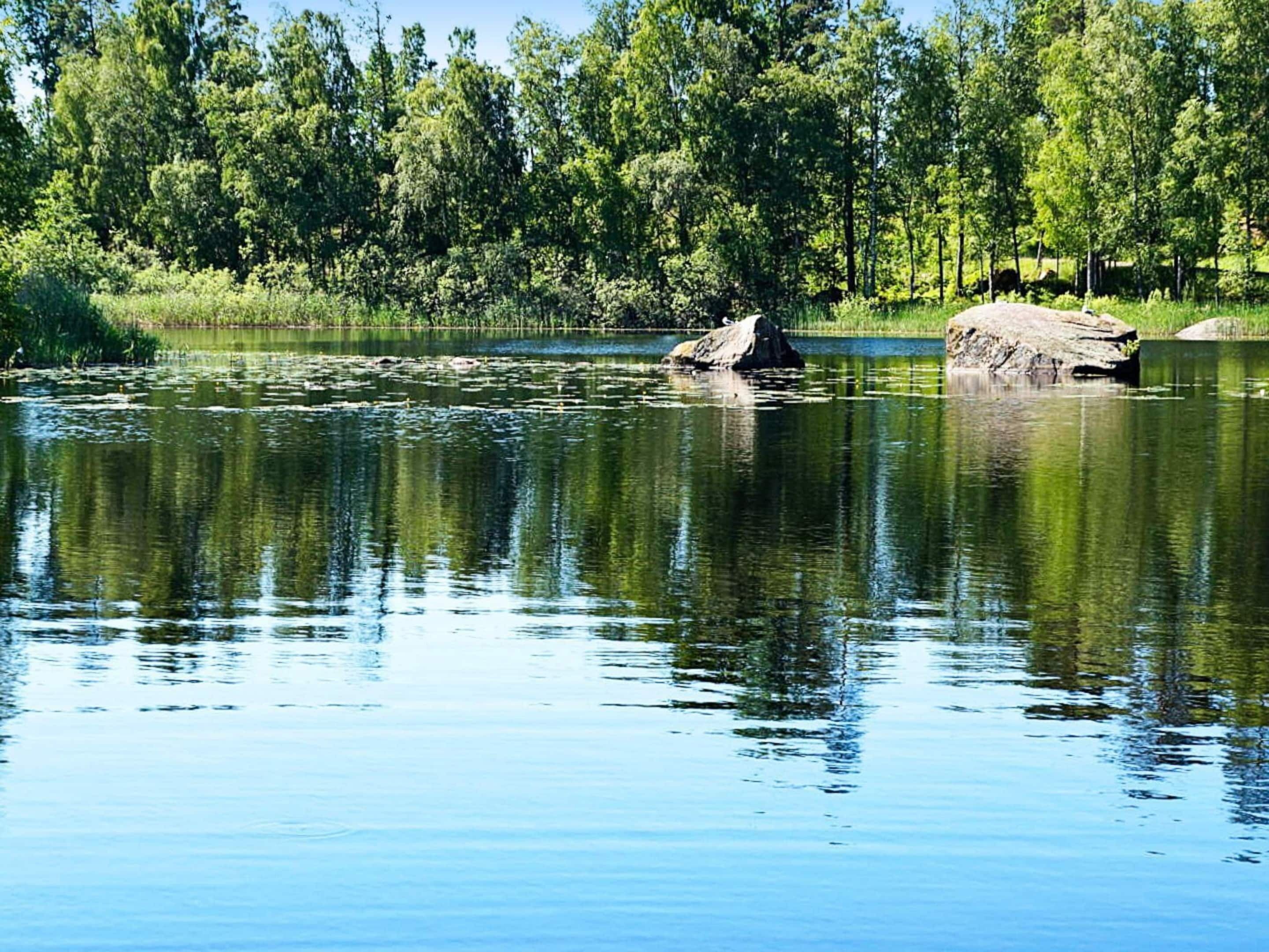 Een rustige rivier met rotsen en dichte bomen op de achtergrond.