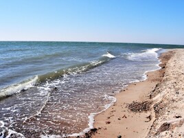 Una playa con olas, orilla arenosa y escombros dispersos.