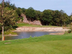 A golf course with a pond, trees, and a grassy area.
