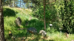 Un espace extérieur naturel agrémenté de rochers, d’arbres et de poteaux en bois.
