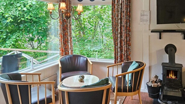 Una habitación acogedora con chimenea, una ventana con cortinas y vistas al verdor exterior.
