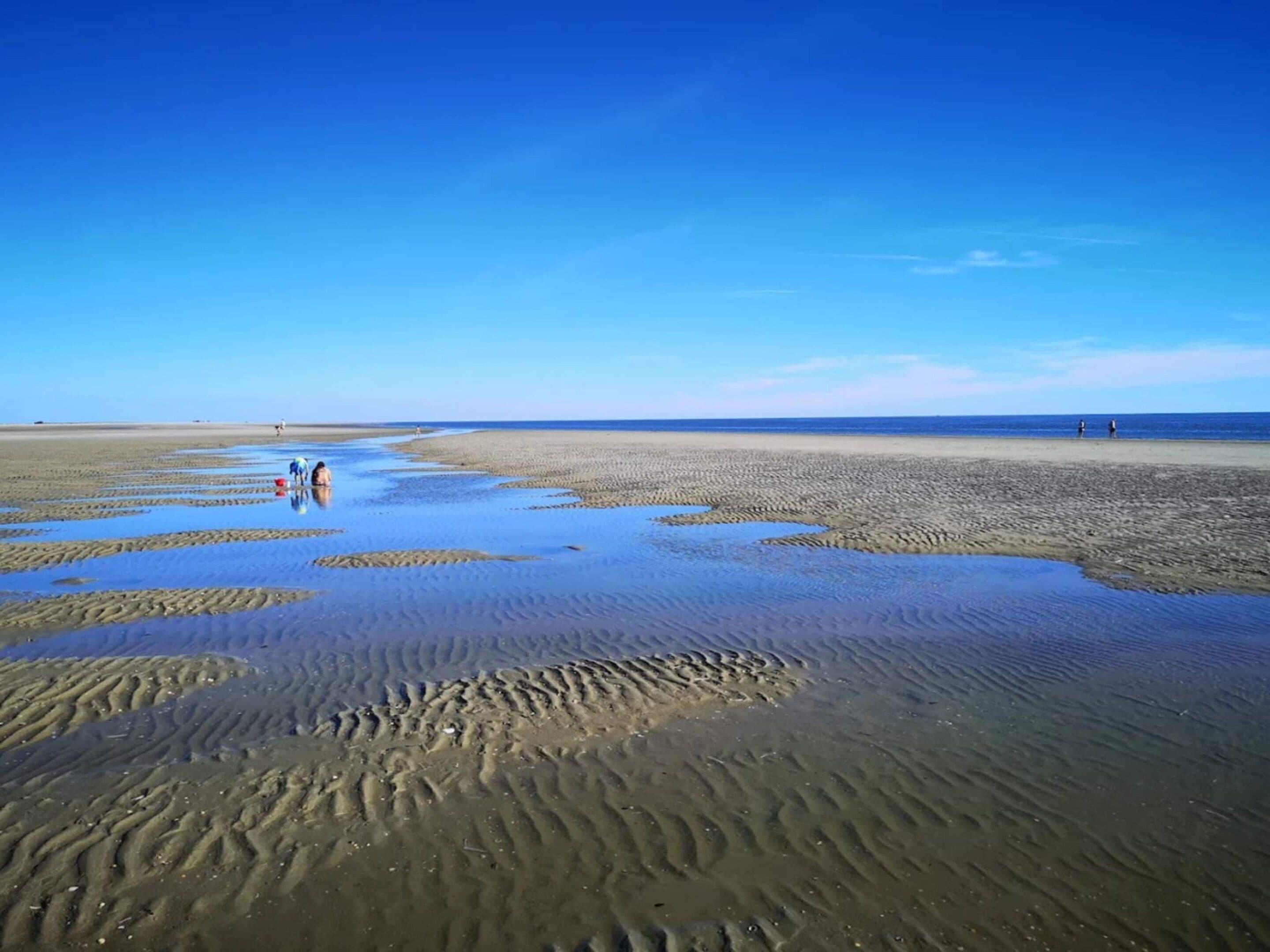 Ein Strand mit feuchtem Sand und Menschen, die spazieren gehen.