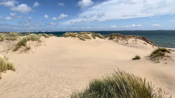 Une plage de sable avec des dunes et un ciel bleu clair.