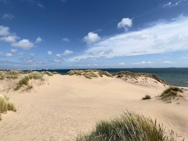 A sandy beach with dunes and a clear blue sky.
