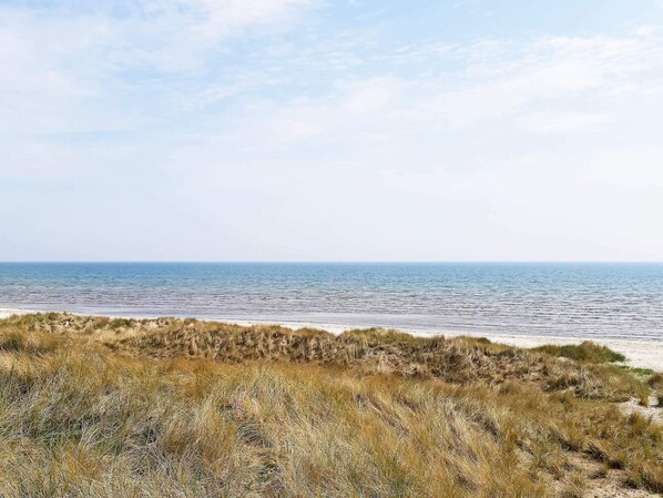 Maison | Vue depuis l’hébergement 