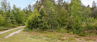 Classy Holiday Home in Ålbæk near Sea