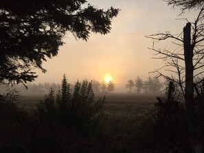 House | Miscellaneous