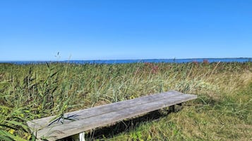 House | Property grounds